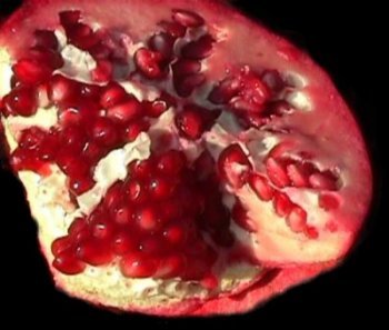 the subversive pomegranate